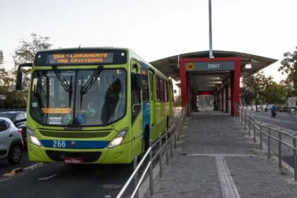 bus
