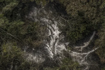 pantanal