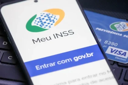 inss 2
