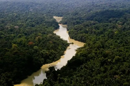 reserva florestal jamanxim