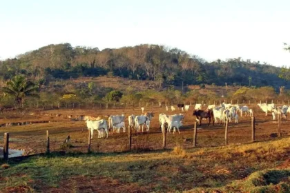 fazenda