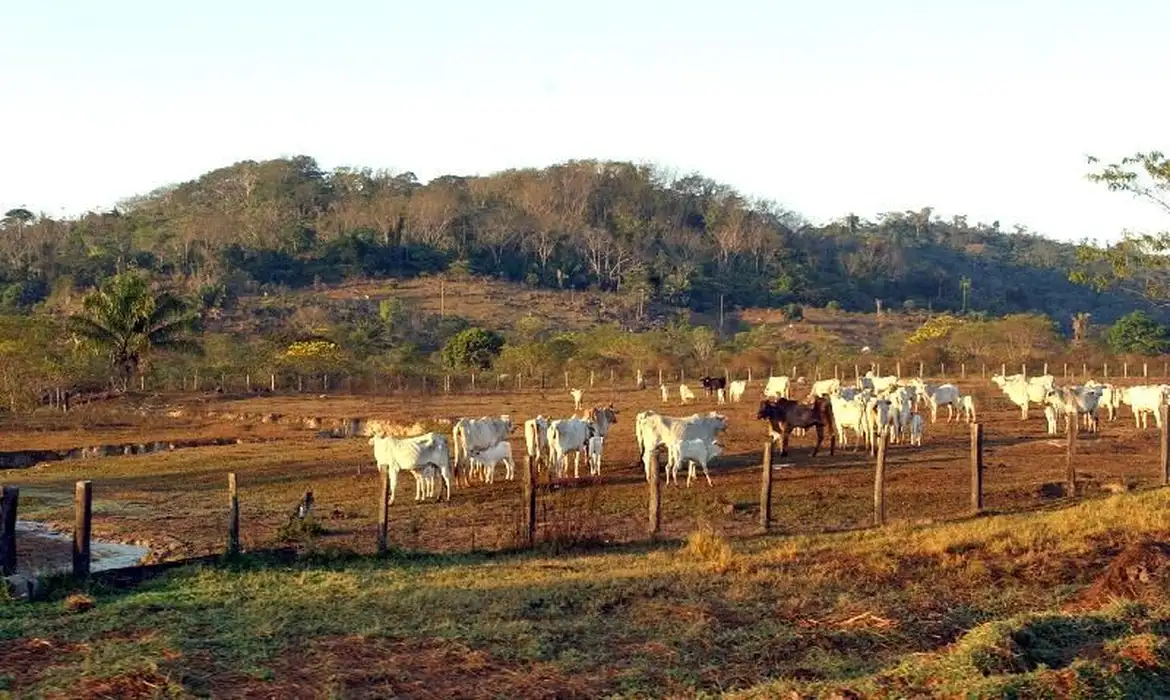 fazenda